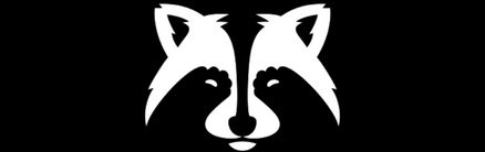 Racoon TV